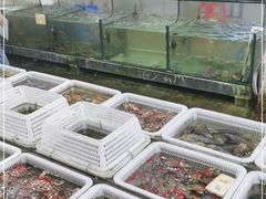 水产区-红月湾海鲜饭店•沙滩海景(双月湾店)