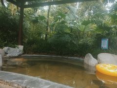 -青城道汤池