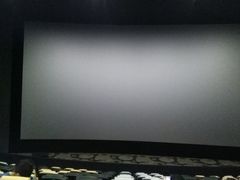 -万达影城(开福万达广场IMAX店)