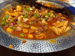 -俭寨大盘鸡·新疆菜·烧烤(博乐店)