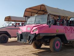 -银肯塔拉沙漠生态旅游景区