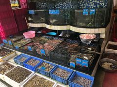 海鲜池-揭阳钟记小食(福田新村店)