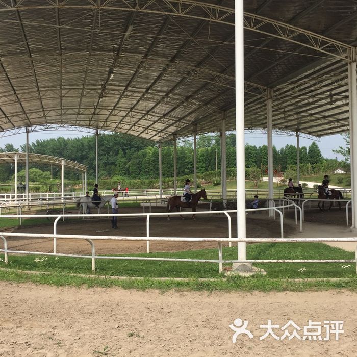 全进马术俱乐部图片-北京马术场-大众点评网