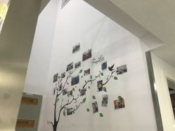 -芙贝佳禾·痘肌管理中心