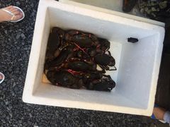 -拉威海鲜市场