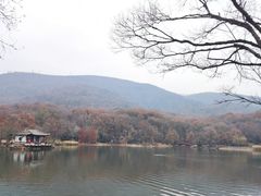-紫霞湖公园