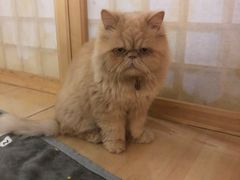 -小时光咖啡馆(开森度假森林店)