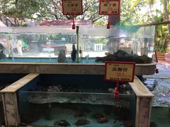 -沙河粉村·国家非遗传承(云台店)