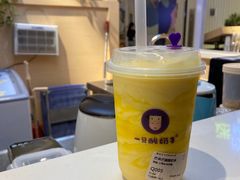 -一只酸奶牛(八一路店)