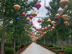 -南宫五洲植物乐园