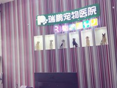 -瑞鹏宠物医院华南总院·夜诊·心脏科·骨科
