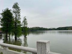 -海珠湖公园