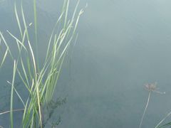-太湖湖滨国家湿地公园-停车场