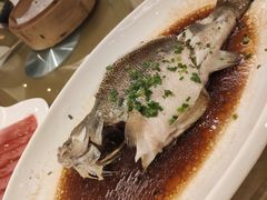 清蒸鲈鱼-昆山金鹰尚美酒店·金鹰贵宾楼