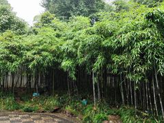 -杭州黄龙洞