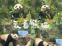 -石排湾郊野公园