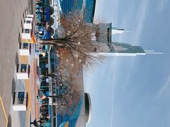 -海合安青岛极地海洋公园