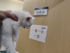 -萌兽医馆·犬猫专科·眼科中心·宠物医院(朝阳门分院)