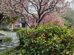 -江宁织造博物馆