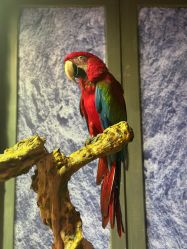 -Zoolung Zoolung动物主题公园(海信广场店)