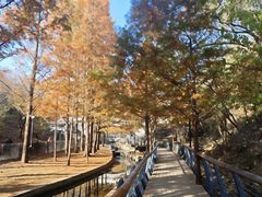 -白水寺森林公园