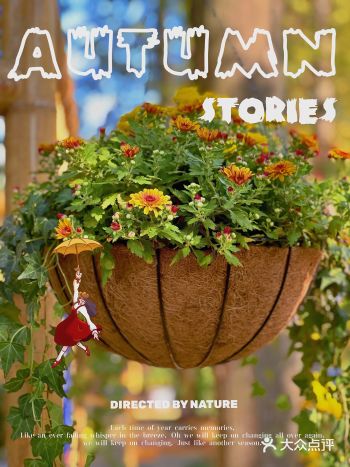 这次跟着summer 爸爸脚步去醉白池赏桂花