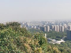 -杭州半山国家森林公园