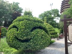 -天宁寺