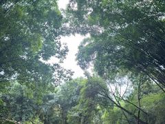 -成都杜甫草堂博物馆