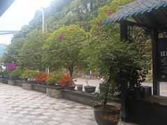 -江龙饭店·乌江豆腐鱼(乌江老桥头店)