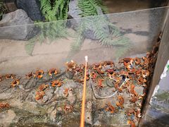 -正佳雨林生态植物园