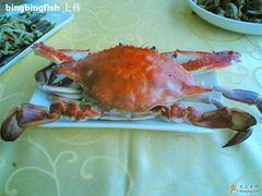 蒸野生梭子蟹-海岛渔村大酒店(云霄路店)
