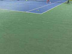 -振狮网球俱乐部(九堡校区)