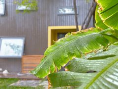 -Supine Bistro溯泮餐厅