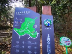 -上海佘山国家森林公园天马山园