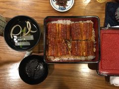 柴藤流鳗鱼饭-本家 柴藤