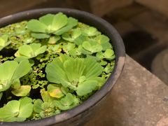 -花迹(富春江东街店)