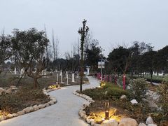 -洪湖家庭农场·团建·露营·会议