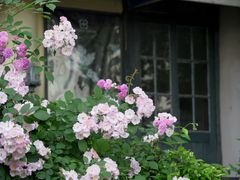 -常熟路(地铁站)