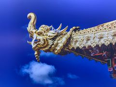 -宝珠奶酪(闵行仲盛店)