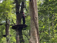 -WeLope紫金山探险公园