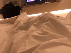 -白玉兰酒店(上海田子坊马当路地铁站店)