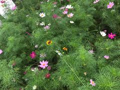 -艾溪湖湿地公园