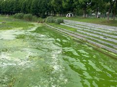 -滆湖低碳生态公园