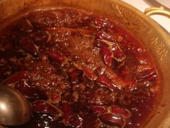 -小龙坎火锅(春熙太古里店)