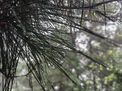 -敬亭山风景名胜区