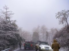 -四明山国家森林公园