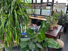 -北马山庄植趣咖啡