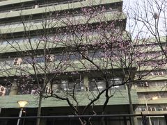 -食其家·牛丼咖喱(宜山路贝岭店)