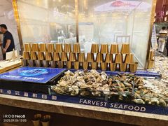-丰卓会海鲜自助(中润大道店)